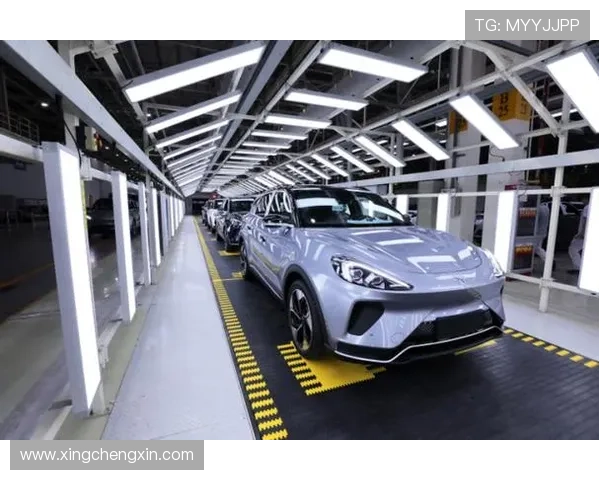 星空体育集团娱乐平台：不断创新推动体育娱乐行业的数字化转型