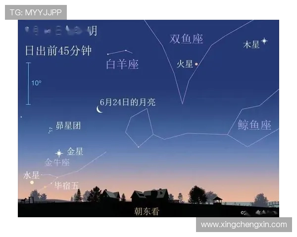 星空官方网站：实时天象预报与星空活动安排一站式服务