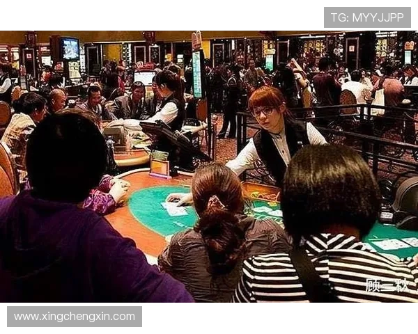 平博-高质量真人直播赌场，呈现真实的赌场氛围与专业荷官互动体验