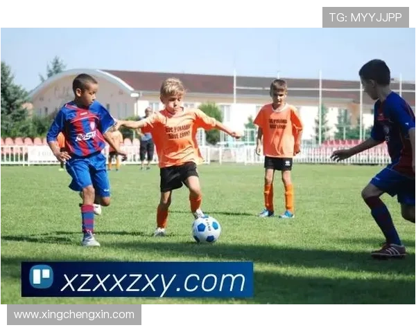 星空体育官网app下载开启无限精彩的体育赛事直播体验全面提升您的娱乐享受