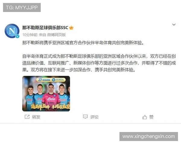 最新版半岛app综合体育下载教程详解及常见功能介绍